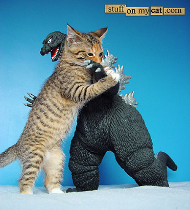 Dinosaur fighting cat!