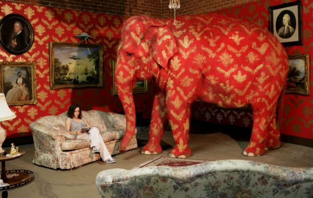 Woman sitting on sofa reading a book and elephant in one room.