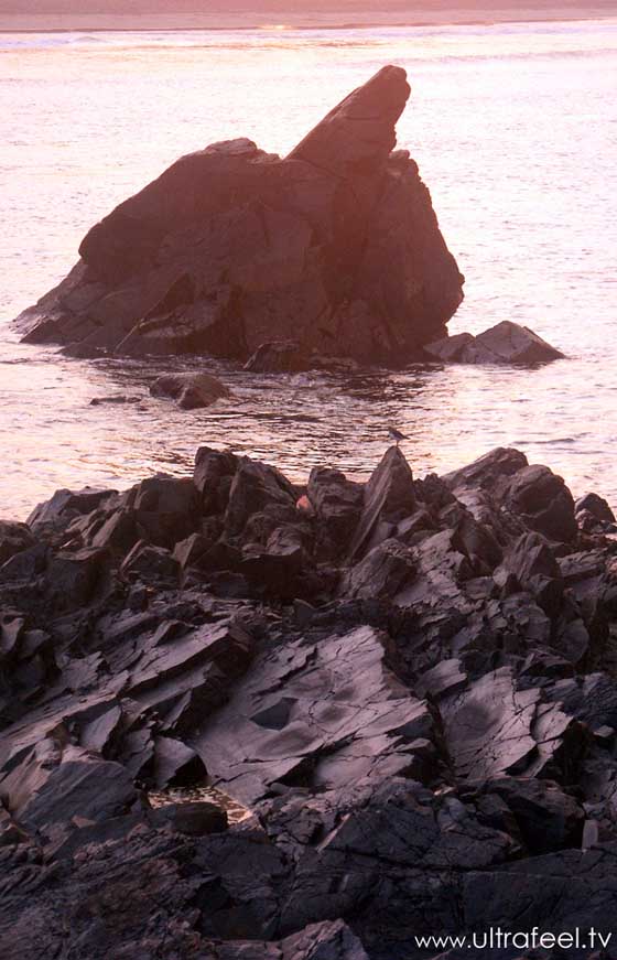 Rocks in the sea, Arambol, Goa