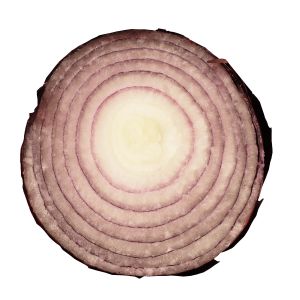 Onion (From Sxc.hu)