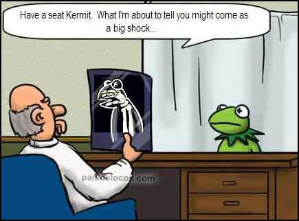 Kermit at the doctor: "Are we real?" A big shock. Advaita joke. Non-duality. This might lead to enlightenment!