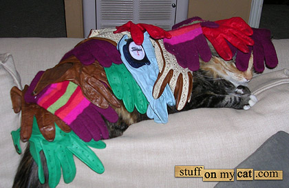Cat under clothes... (Stuff on cats)