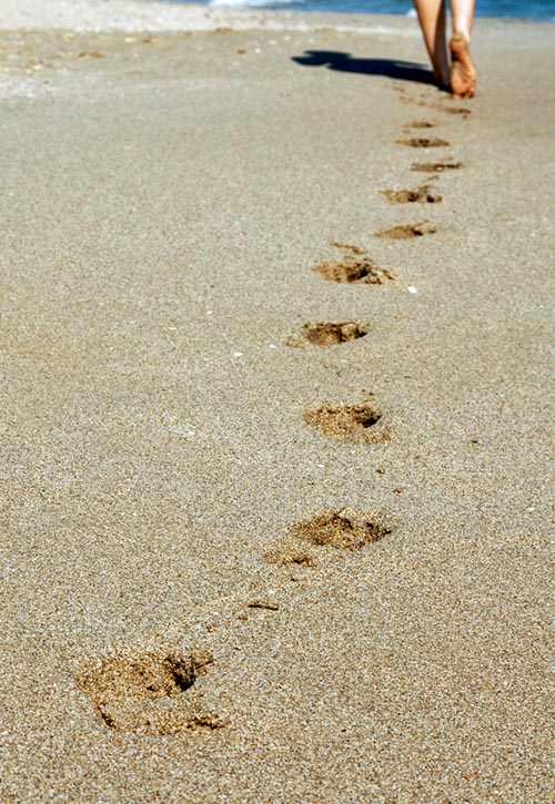 Steps on Beach. (Sxc.hu)