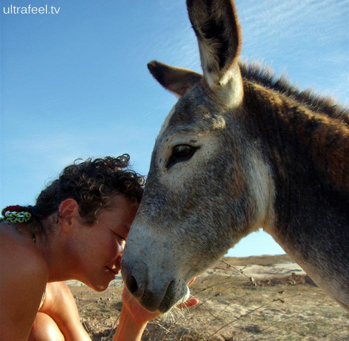 Woman meets a donkey.